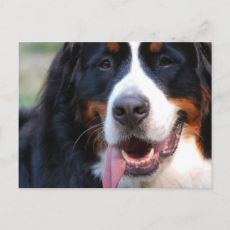 Produkt anpassen postkarte