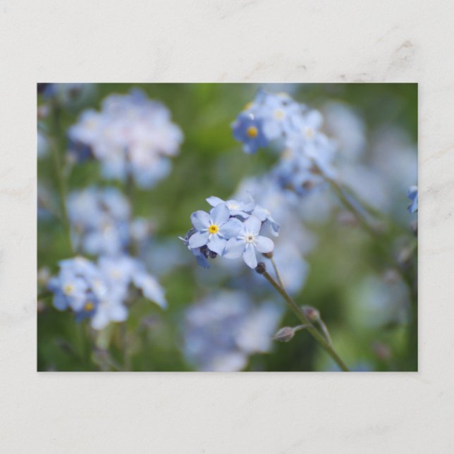 Produkt anpassen postkarte (Vorderseite)