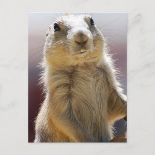 Produkt anpassen postkarte