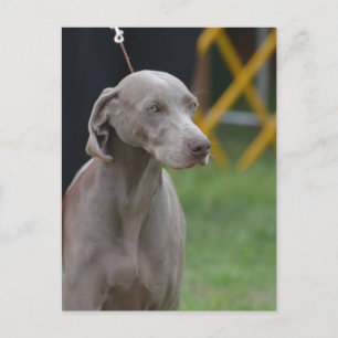 Produkt anpassen postkarte