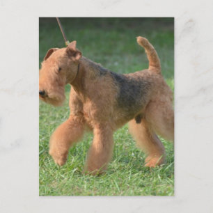 Produkt anpassen postkarte