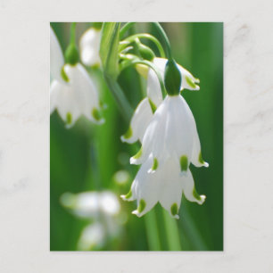 Produkt anpassen postkarte