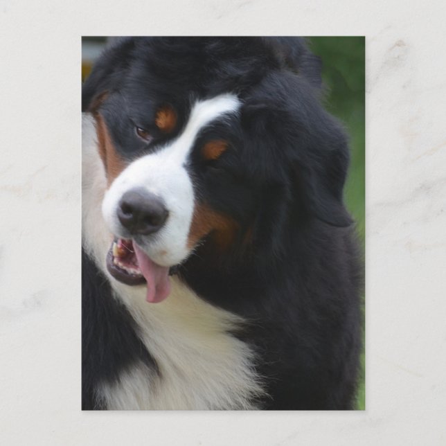 Produkt anpassen postkarte (Vorderseite)