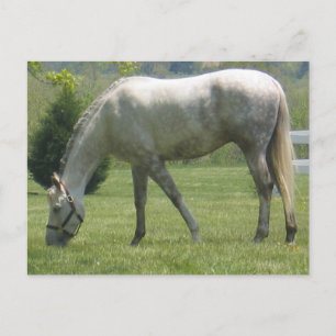 Produkt anpassen postkarte