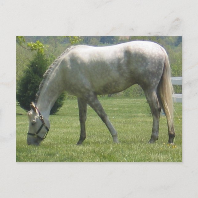 Produkt anpassen postkarte (Vorderseite)