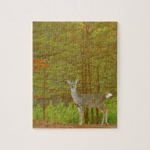 Produkt anpassen puzzle