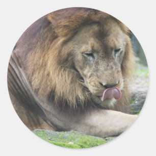 Produkt anpassen runder aufkleber