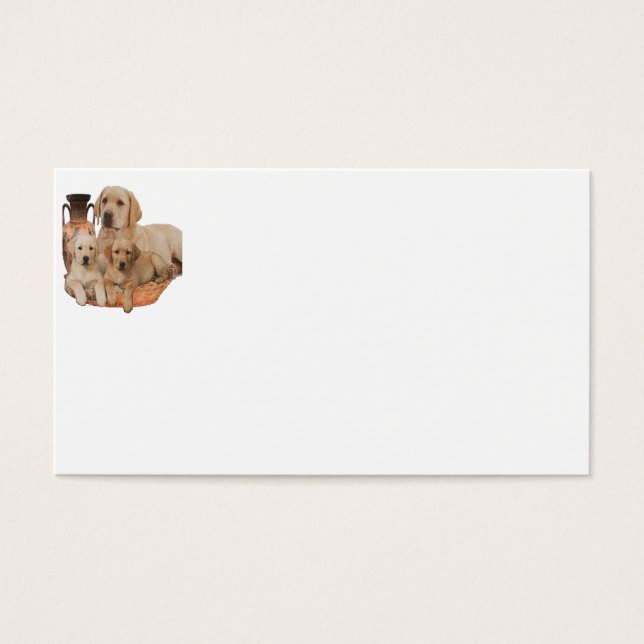 Produkte von Labrador Retriever (Vorderseite)