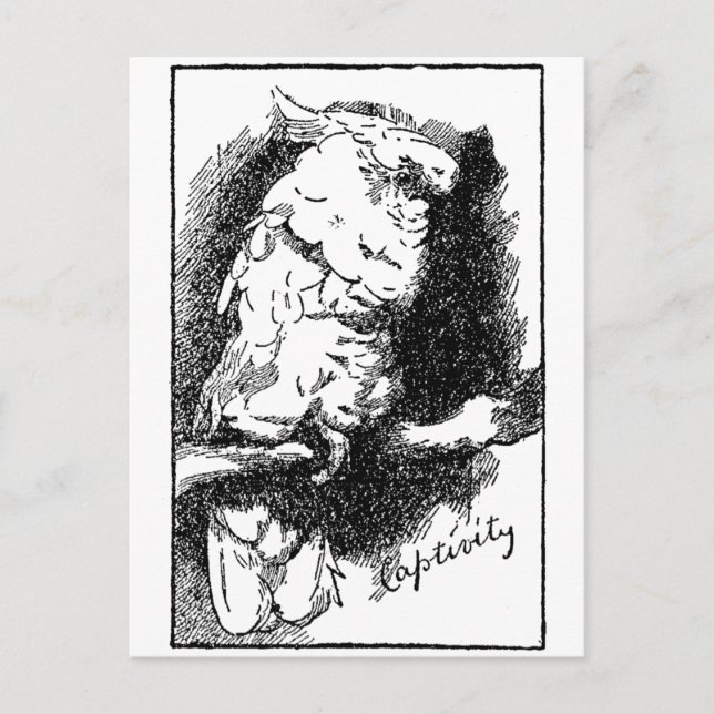 Produktivität Postkarte (Vorderseite)