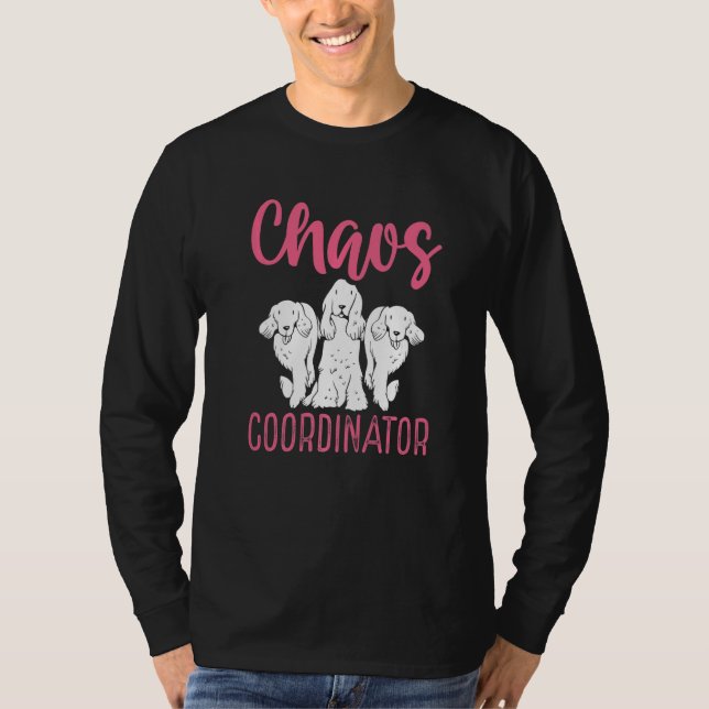 Professional Dog Sitter Chaos Coordinator  Dog Wal T-Shirt (Vorderseite)