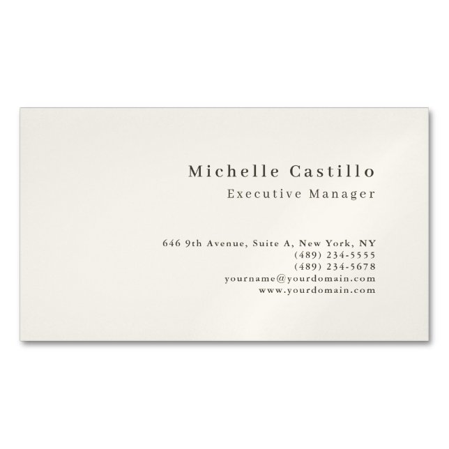 Professional Minimalist Modern Magnetische Visitenkarte (Vorderseite)