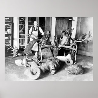 Professional Taxidermist: 1923 Poster