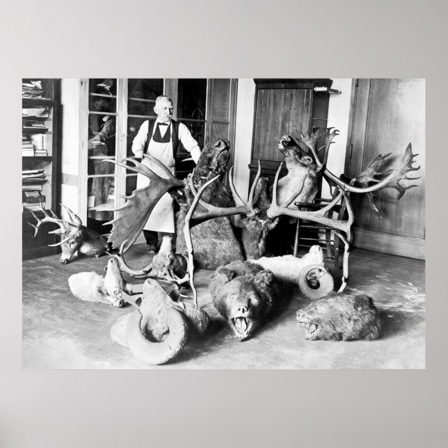Professional Taxidermist: 1923 Poster (Vorne)