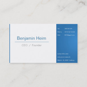 Professionelle Business Visitenkarten Blue White Visitenkarte