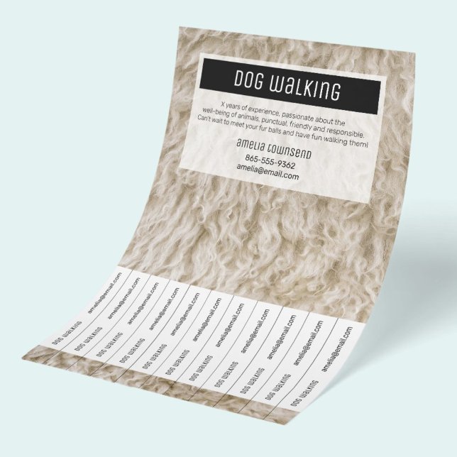 Professionelle Hundespaziergang-Flugblätter Minima Flyer (Monochrome Modern Black and White Dog Walker business flyers, perfect promotion and advertising.)