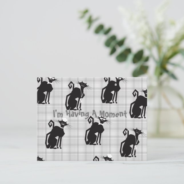 Professionelle Katzen-Postkarte Postkarte (Stehend Vorderseite)