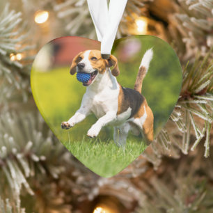 Professionelles Foto-Acrylblatt Herz Ornament