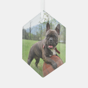 Professionelles Foto Glas Sechseck Ornament Aus Glas