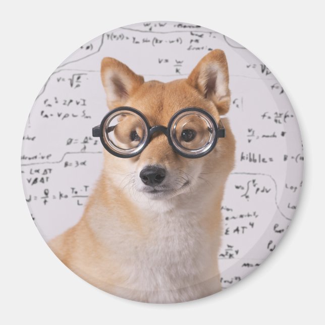 Professor Barkley 2¼ Inch Round Magnet (Vorne)