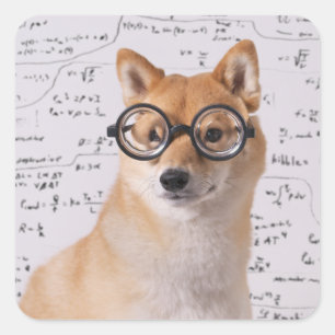 Professor Barkley Square Sticker (glatt)