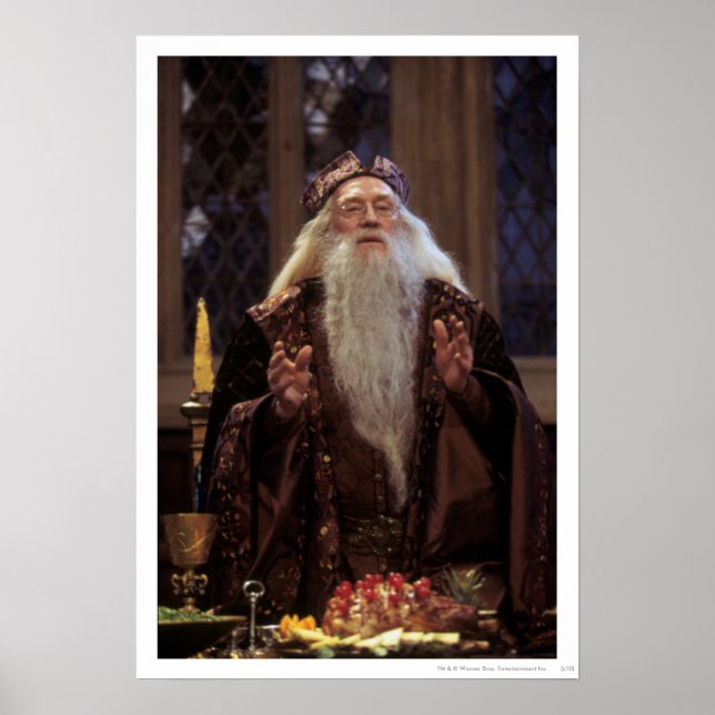 Professor Dumbledore Poster (Vorne)