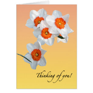 Professor Einsteins Daffodil Flowers Floral Karte