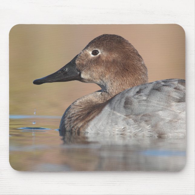 Profil der weiblichen Canvasback-Ente Mousepad (Vorne)