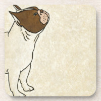 Profil des französischen Bulldog-Suchens