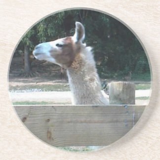Profil des Lamas Getränkeuntersetzer