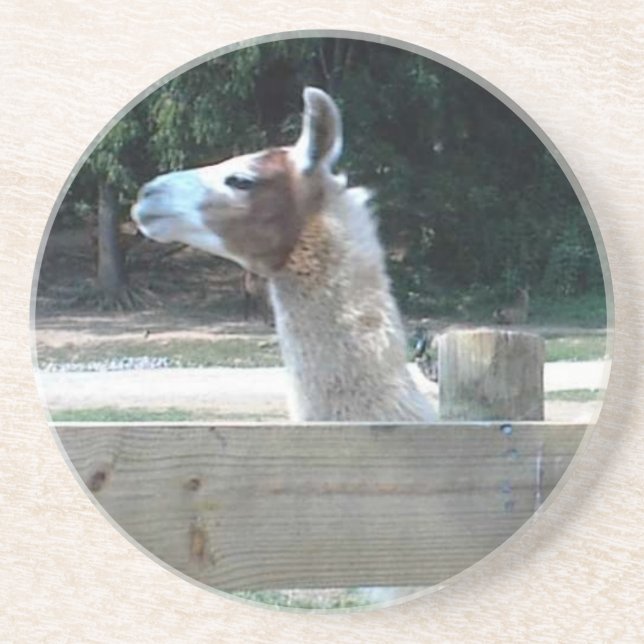 Profil des Lamas Getränkeuntersetzer (Vorne)
