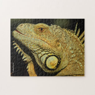 Profil einer grünen Iguana Puzzle