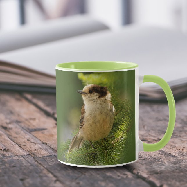 Profil einer Niedlichen grauen Jay / Whiskeyjack Tasse (Portrait of a Grey Jay Whiskeyjack in the Tree 11 oz Coffee Mug Cover Photo.)