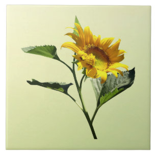 Profil einer Sonnenblumenzange Fliese