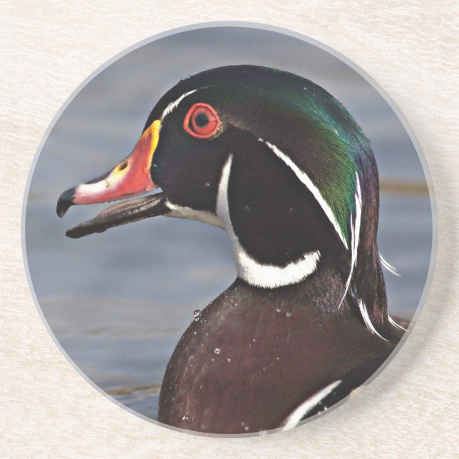 Profil einer Waldschnatter Getränkeuntersetzer (Vorne)