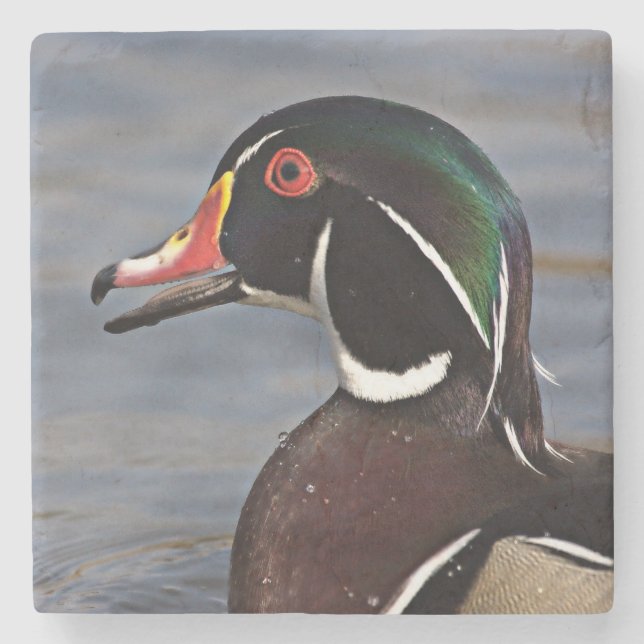 Profil einer Waldschnatter Steinuntersetzer (Vorderseite)