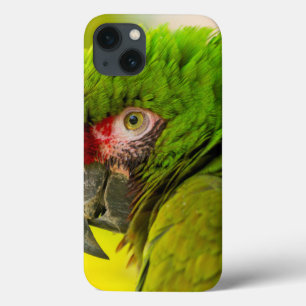 Profil eines Aras im Santa Barbara Zoo Case-Mate iPhone Hülle
