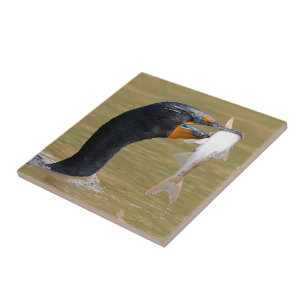 Profil eines erwachsenen, doppelkreierten Kormoran Fliese