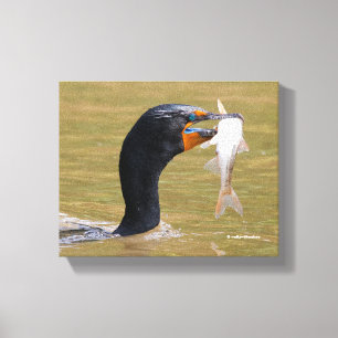 Profil eines erwachsenen, doppelkreierten Kormoran Leinwanddruck