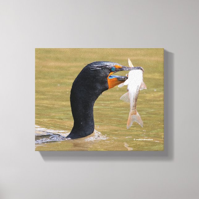 Profil eines erwachsenen, doppelkreierten Kormoran Leinwanddruck (Vorderseite)