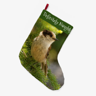 Profil eines Niedlichen grauen Jay / Whiskeyjack S Großer Weihnachtsstrumpf