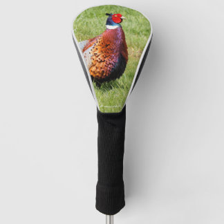 Profil eines Ring-Necked Pheasant Golf Headcover