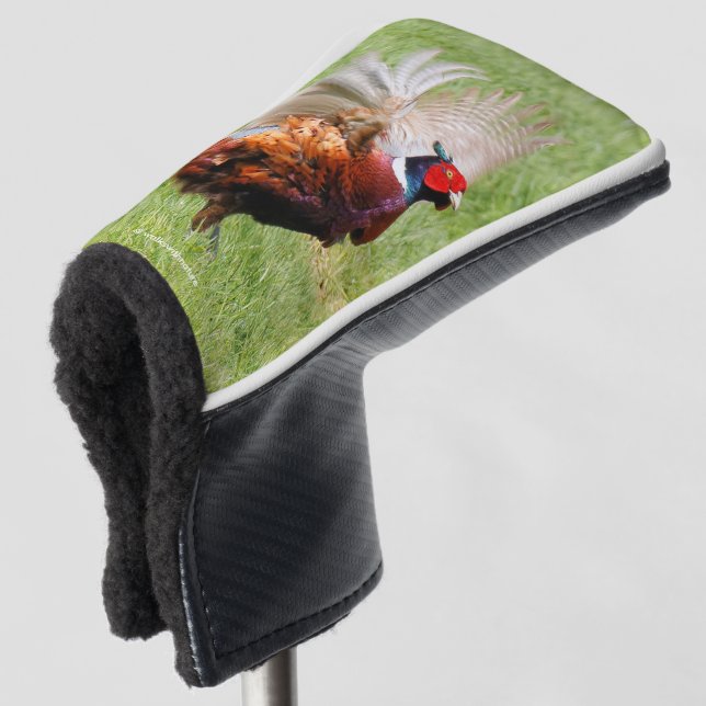 Profil eines Ring-Necked Pheasant Golf Headcover (3/4 Vorderseite)