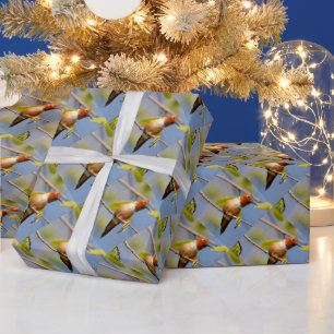 Profil eines Rufous Hummingbird Geschenkpapier