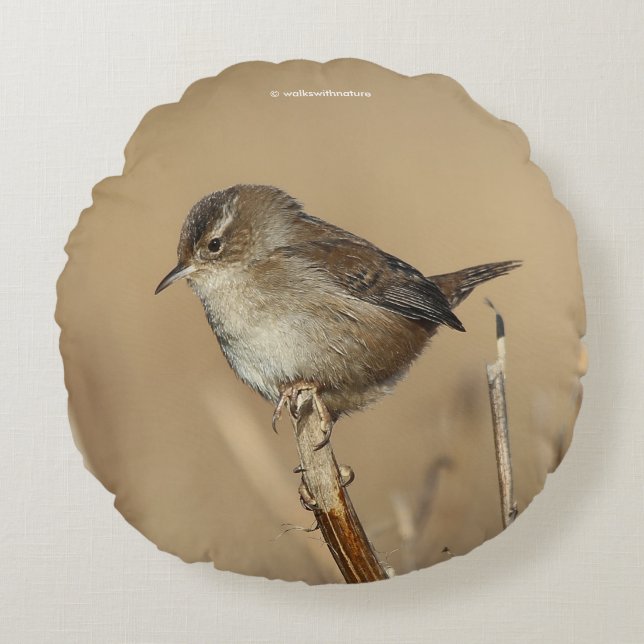 Profil eines schönen Marsh Wren Rundes Kissen (Vorderseite)