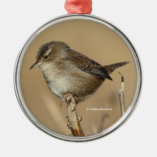 Profil eines schönen Marsh Wren Silbernes Ornament
