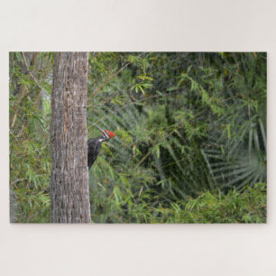 Profil Florida Pileated Woodpecker Nature Foto Puzzle