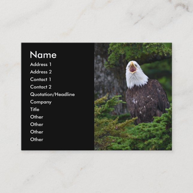 Profil oder Visitenkarte, Adler Visitenkarte (Vorderseite)