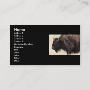 Profil oder Visitenkarte, Bison Visitenkarte