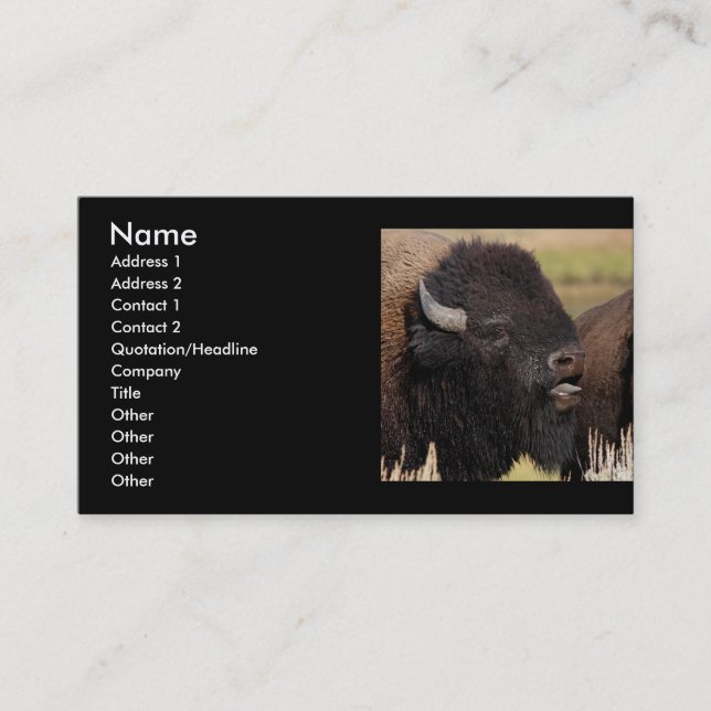Profil oder Visitenkarte, Bisonbrummen Visitenkarte (Vorderseite)