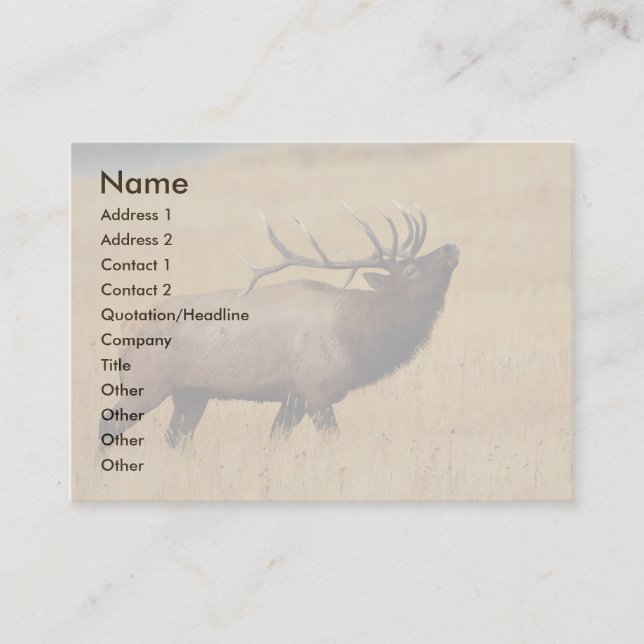 Profil oder Visitenkarte, Elch Visitenkarte (Vorderseite)